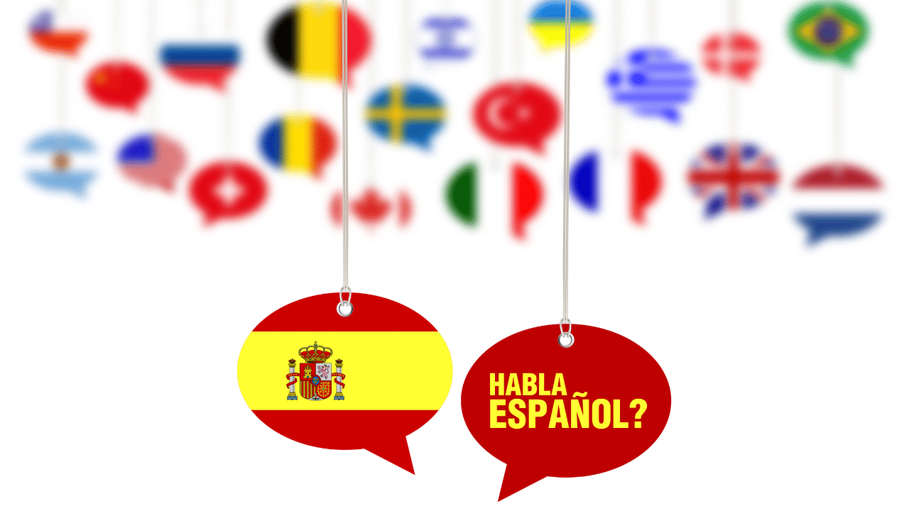 مجالات ترجمة اللغة الاسبانية المتاحة لدينا: